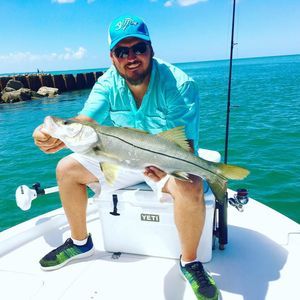 Meet your Posher, Gary